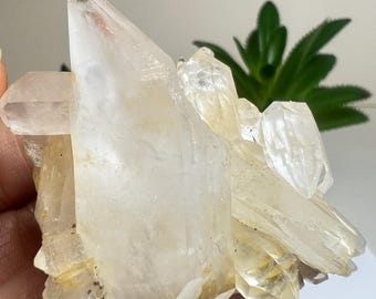 DT Clear Quartz Cluster From Madagascar- Crystal Healing, Home Decor, Statement Piece, Gift