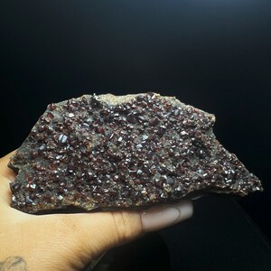 May include: A rough, dark brown rock with a cluster of small, red crystals. The crystals are densely packed and cover most of the rock's surface.