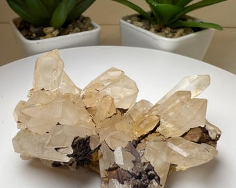 Clear Quartz Cluster From Madagascar- Crystal Healing, Home Decor, Statement Piece, Gift