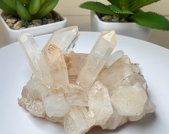 Clear Quartz Cluster From Madagascar- Crystal Healing, Home Decor, Statement Piece, Gift