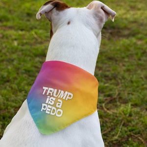 Anti-Trump Rainbow Pet Bandana: FDT Political Dog Accessaries
