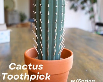 Cactus tandenstoker houder