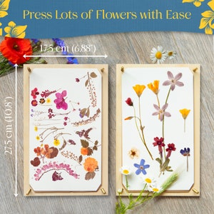 Presse-fleurs en bois pour adultes Grand kit de presse-fleurs mesurant 27,5 cm 10,8 po. x 17,8 cm 6,9 po. Excellent cadeau pour les amateurs d'art et d'artisanat image 4