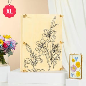 Lilabelle - XL Flower Press Kit for Adults and Teens - Dimensions 38 x 29cm (15" x 11.4") -  Includes Video Tutorials - Gift-Ready Packaging