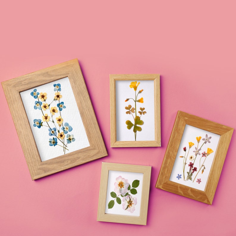 Presse-fleurs en bois pour adultes Grand kit de presse-fleurs mesurant 27,5 cm 10,8 po. x 17,8 cm 6,9 po. Excellent cadeau pour les amateurs d'art et d'artisanat image 9