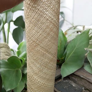 Puede incluir: Una cesta alta y cilíndrica tejida con fibras de color natural. La cesta tiene un patrón texturizado y tejido apretado y está sostenida por una persona. El fondo presenta plantas verdes y una superficie oscura.