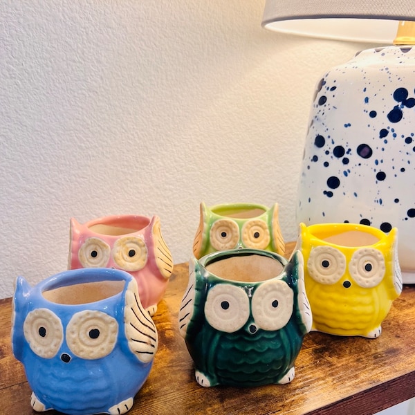 Cute Ceramic Owl Planter Pots in 5 Colors | Planter Pots | Indoor Planter Pots | Home Office Decor| Console Table Decor | Cute Ceramics