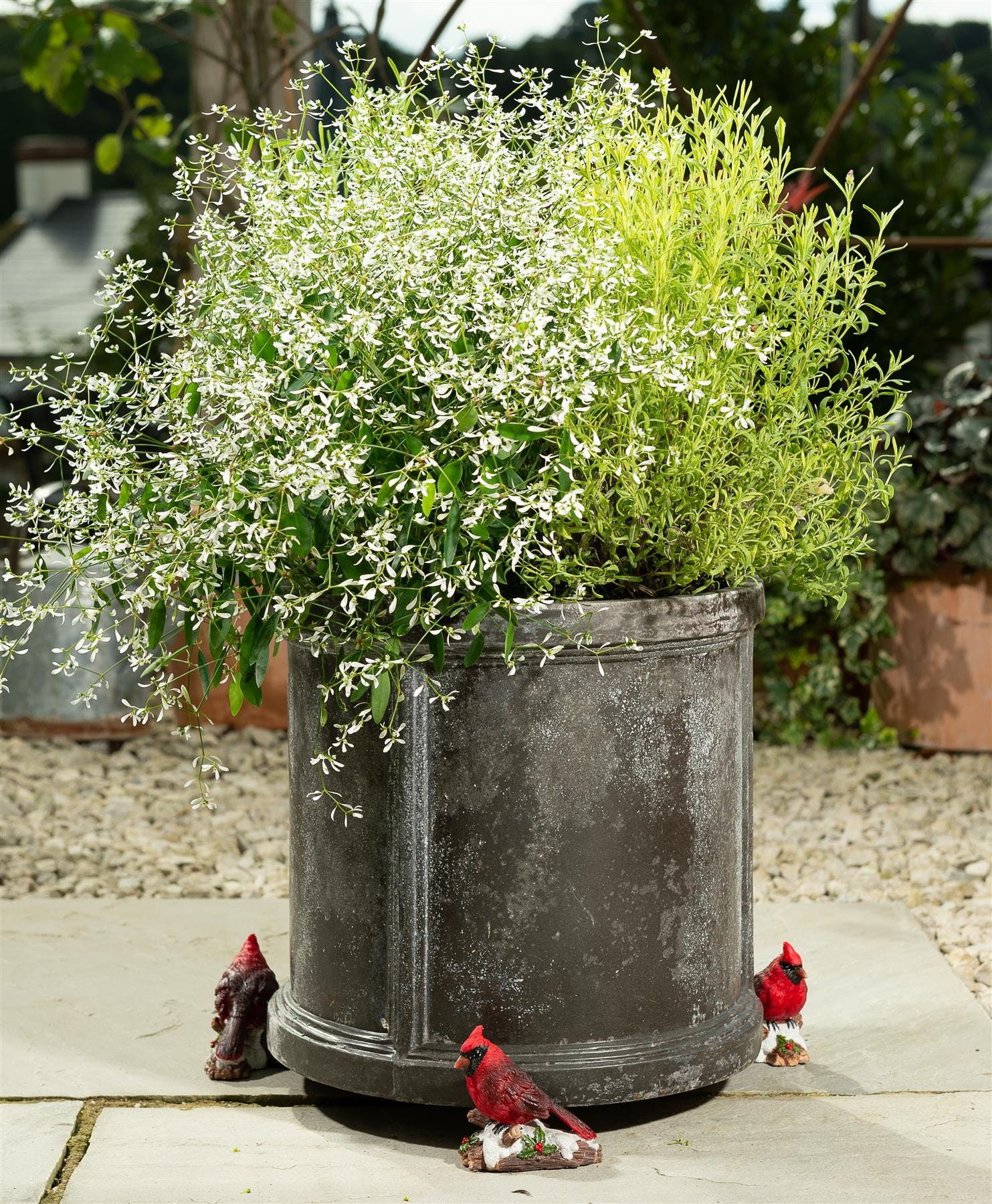 Red Cardinal Bird Plant Pot Feet Set of 3 Plant Pot Etsy