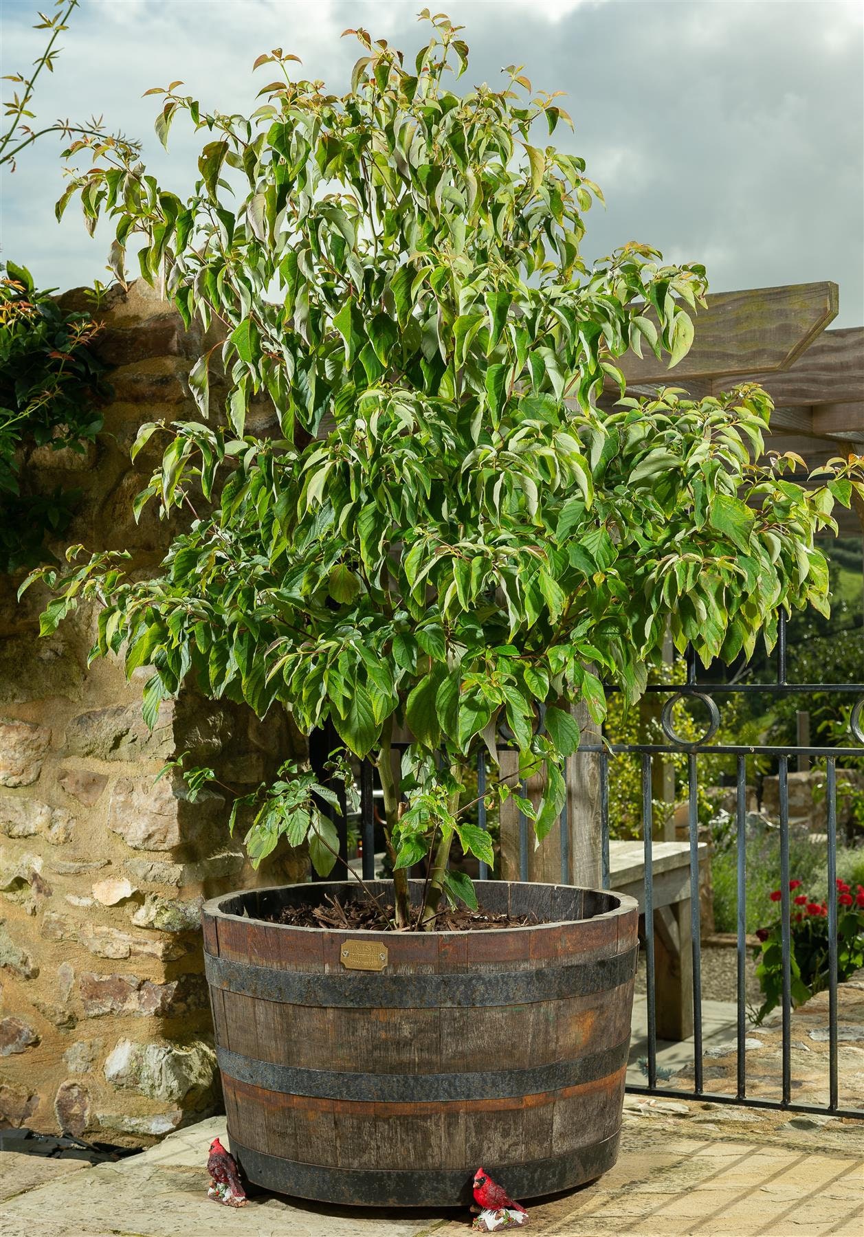 Red Cardinal Bird Plant Pot Feet Set of 3 Plant Pot Etsy