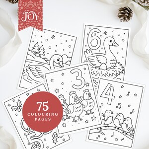 A collage of five Christmas colouring sheets inspired by the “12 Days of Christmas,” including three French hens, four calling birds, and six geese-a-laying, along with a snowy swan scene. A red badge displays “75 Colouring Pages,” surrounded by pinecones and ribbon for a festive, cozy holiday aesthetic.