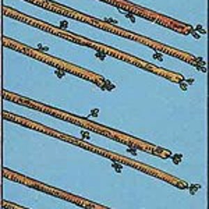 Personalisierte Tarotlesung: die kommende Woche