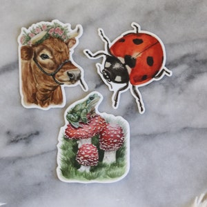 Cottage Core Cow Mushroom Frog Toad magical Ladybug Fairy Witch Wiccan Crystal Sticker Trio Gift Pack