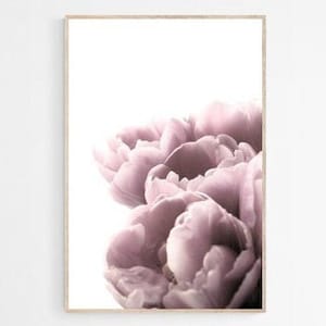 Peony Flower Photography Print: Minimal Floral Wall Art (Digital Download)