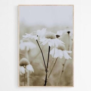 Daisy Field Photography Print: Wildflower Wall Art (Digital Download)