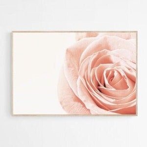 Impresión de rosa rosa, impresión de fotografía de rosa, decoración de pared floral imprimible, descarga instantánea, rosa rosa imprimible, arte de pared de rosa, cartel de rosa rosa