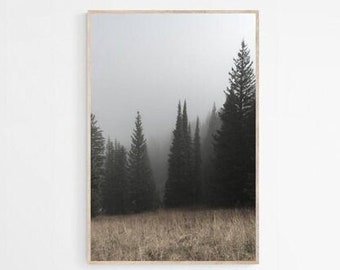 Kiefernwald Fotografie Druck: Stimmungsvolle Landschaftswand Kunst (Digitaler Download)
