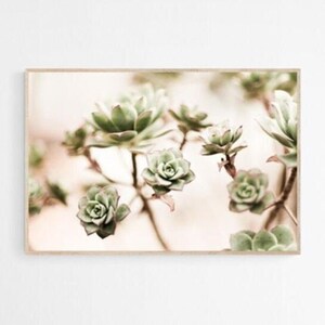 Desert Plant Printable, Desert Succulent Photography Print, Desert Wall Art Print, Succulent Printable, Succulent Plant Printable Poster