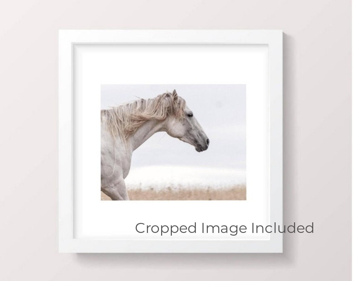 Horse Printable, Animal Horse Photography Wall Art Printable, Animal ...