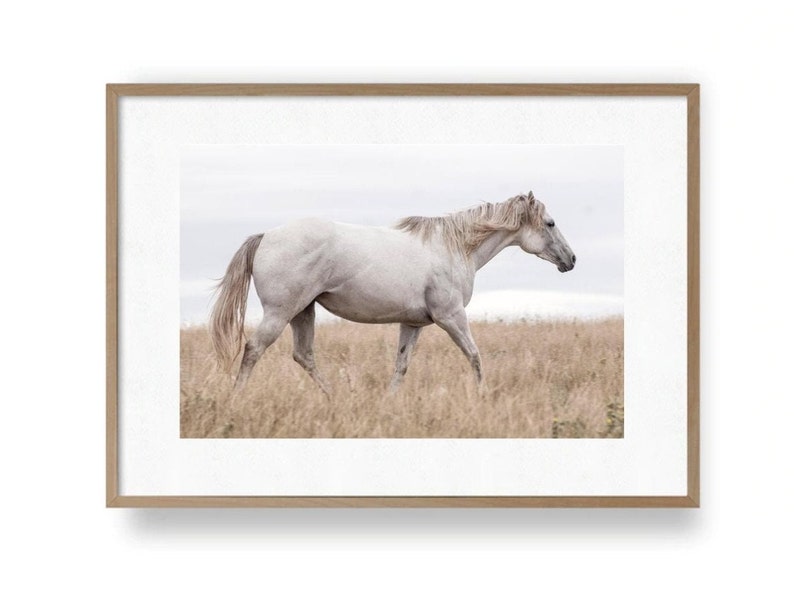 Horse Printable, Animal Horse Photography Wall Art Printable, Animal ...