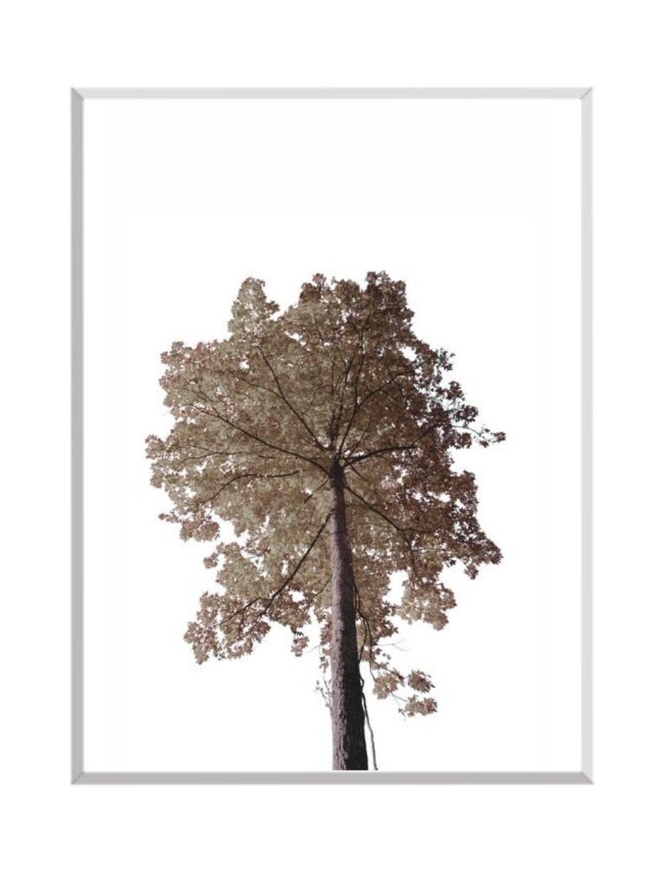 Tree Printable, Tree Photography Print, Nature Wall Art, Minimal Wall ...