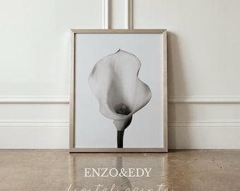 Puede incluir: Una fotografía en blanco y negro enmarcada de un lirio de agua. La flor está en plena floración, con un pétalo liso y curvado y un centro oscuro. El marco es de un color neutro claro, y la imagen está apoyada contra una pared blanca. El texto "ENZO&EDY digital prints" está en la parte inferior.