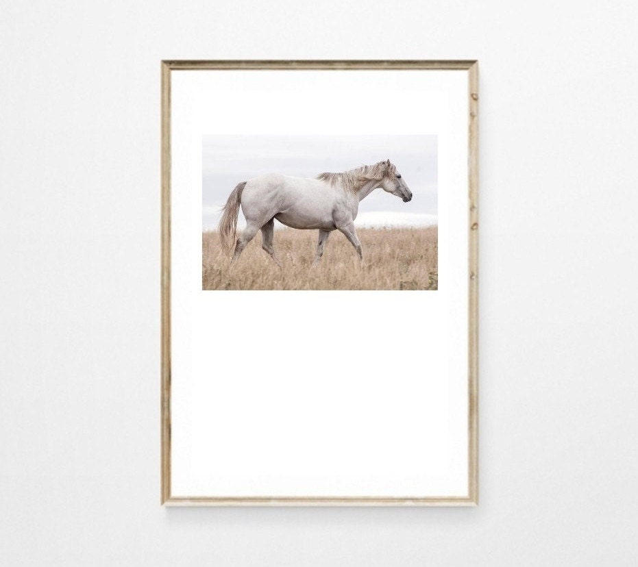 Horse Printable, Animal Horse Photography Wall Art Printable, Animal ...