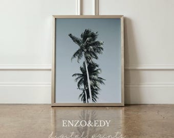 Tropical Palm Tree Photography Print: Beach Wall Art (Instant Download)