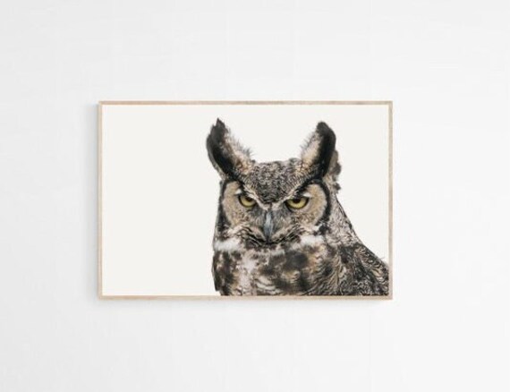 Owl Printable Owl Photography Wall Art Printable Country Owl | Etsy