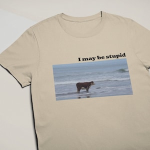 I May Be Stupid Cow on Beach T-Shirt - Unisex and Ladies Size. Funny meme shirt. Multiple color choice