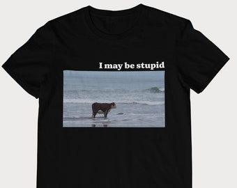 Puedo ser una vaca estúpida en la camiseta de la playa - Tamaño unisex y de mujer. Divertida camiseta meme. Opción de varios colores