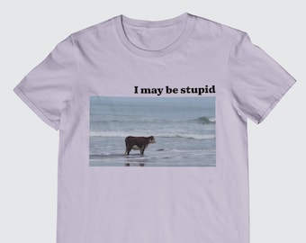I May Be Stupid Cow on Beach T-Shirt - Unisex and Ladies Size. Funny meme shirt. Multiple color choice