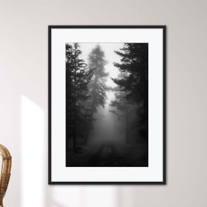 Può includere: Una fotografia in bianco e nero di un sentiero boschivo nebbioso con alberi alti su entrambi i lati. La foto è incorniciata da una cornice nera e appesa a un muro bianco.