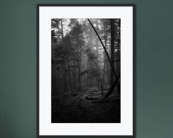 May include: A black and white photograph of a misty forest path. The photo is framed in a black frame and hanging on a green wall above a brown leather sofa.