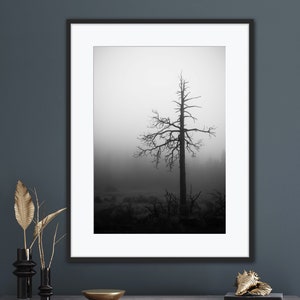 Black and White Landscape Photo, Gnarled Tree, Moody Foggy Forest, Instant Download, Print Yourself, Fine Art, Wall Decor, Misty, Dark