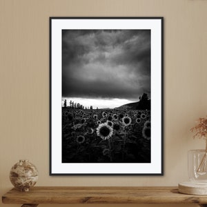 Black and White Landscape Photography Print, Download, Printable, Sunflower Field, Festival, Moody Skies, Sunset
