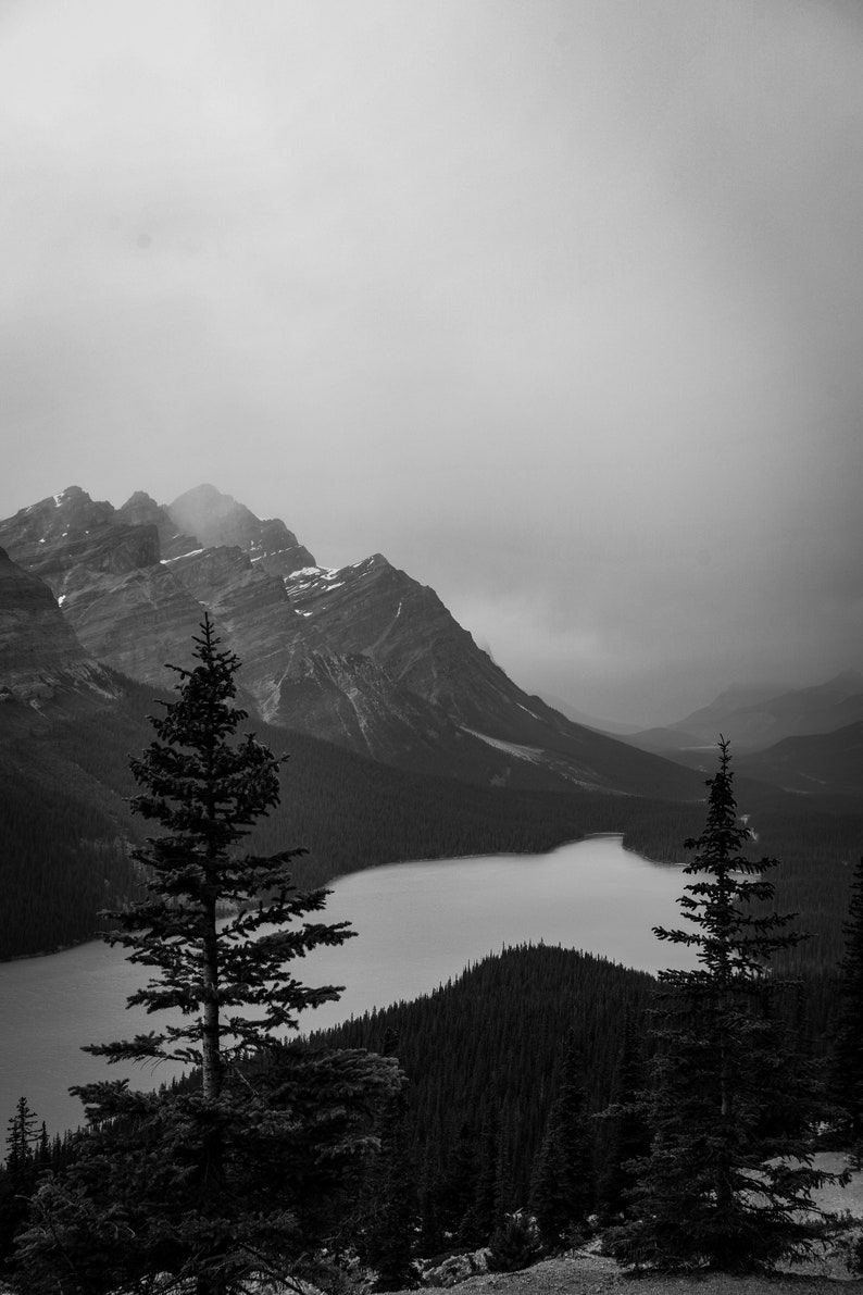 Black and White Peyto Lake Photography Prints, Rocky Mountain Landscape ...