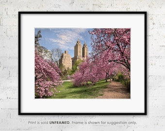 Central Park Cherry Trees in Bloom, New York, Spring in the City, Fine Art Photography, Idyllic Landscape, Gallery Quality Print