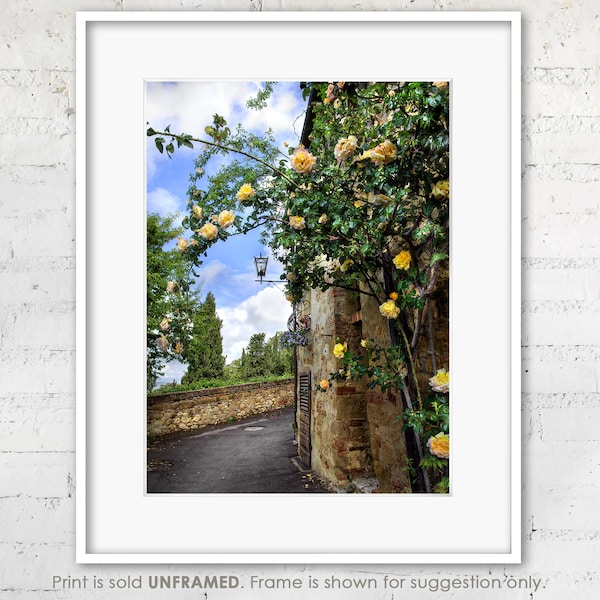 Tuscany Fine Art Photo Print "Tuscan Roses", Italy Wall Art and Decor, Italian Landscape Scene, Professional Archival Print