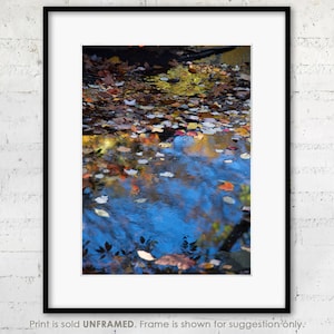 Floating Autumn Leaves, Central Park Print, Nature Photography, Nature Print, Semi-Abstract, Bathroom Art, Autumn Foliage, Fall Leaves