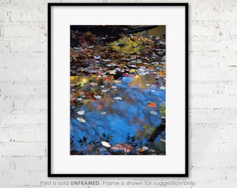 Central Park Print "Autumn Leaves on Water" Photography, Nature Wall Art with Fall Foliage