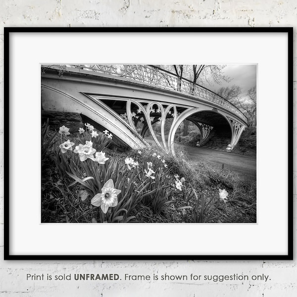 NYC Photo Print "Daffodils at the Gothic Bridge", New York City Central Park in Spring, Black and White Photograph, Landscape and Flowers