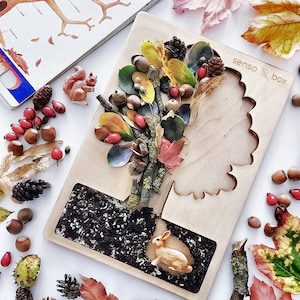 Tree sensory tray | sensor board | Montessori wooden toy | tinker tray