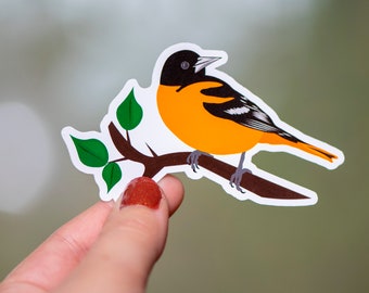 Bird Stickers For Water Bottle, Gift for Bird Watcher, Bird Lover Gift Ideas, Baltimore Oriole Decal, Bird Bumper Sticker, Nature Lover Gift