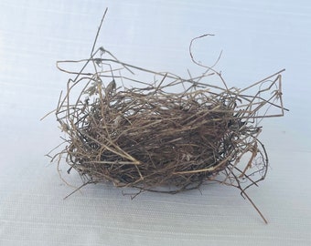 Bird nest/ natural bird nest/ straw bird nest/ floral accents/ teaching tool