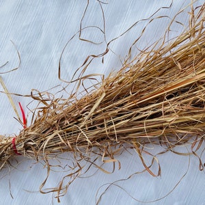 May include: A bundle of dried, light brown grass with a red string tied around it. The grass is arranged in a loose, fan-shaped pattern.