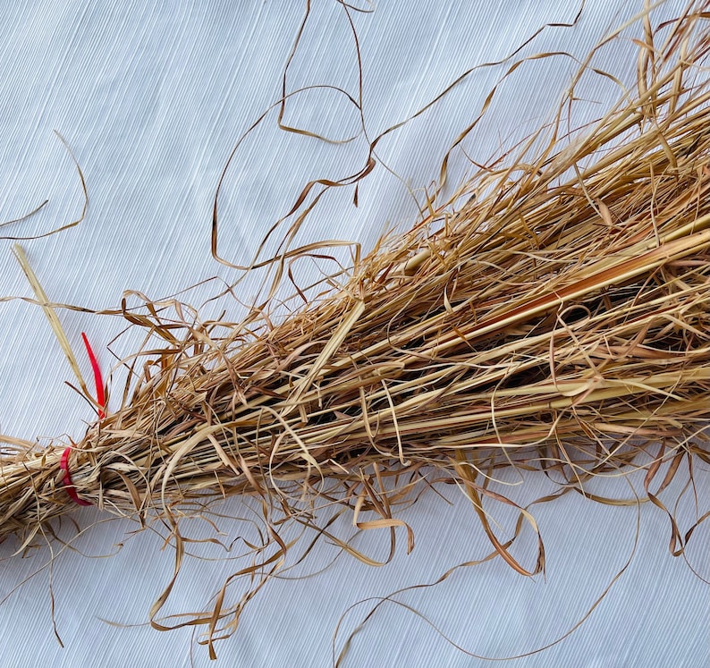 May include: A bundle of dried, light brown grass with a red string tied around it. The grass is arranged in a loose, fan-shaped pattern.