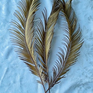 May include: Two dried palm fronds with brown tips arranged in a heart shape on a light blue background.
