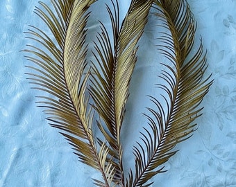 Sago palm fronds/ dried palm fronds/ floral picks/ leaves