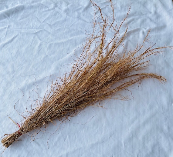 Dried grass bundles/ grass bundles/ floral accents/ amber colored grass
