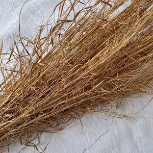 May include: A bundle of dried, light brown grass with long, thin blades. The grass is arranged in a loose, natural way, creating a rustic and organic look.